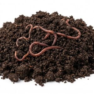 varmicompost